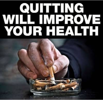 Blazy Susan Tea Leaf Wrap x2